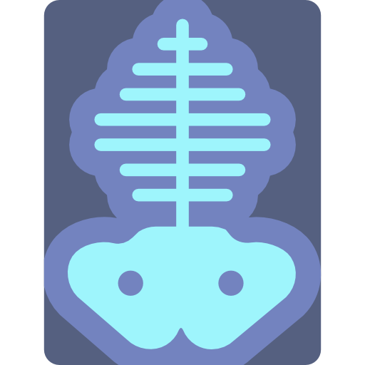 röntgen Basic Miscellany Flat icon