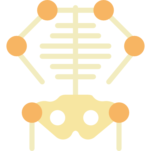 szkielet Basic Miscellany Flat ikona
