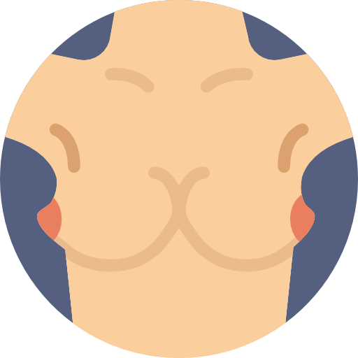 Breast Basic Miscellany Flat icon