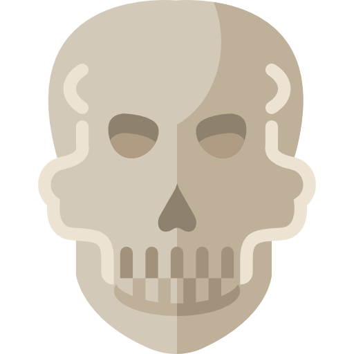 le crâne Basic Miscellany Flat Icône