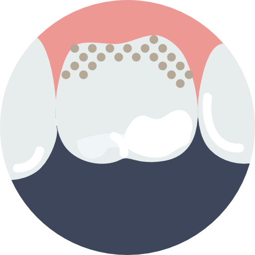Molar Basic Miscellany Flat icon