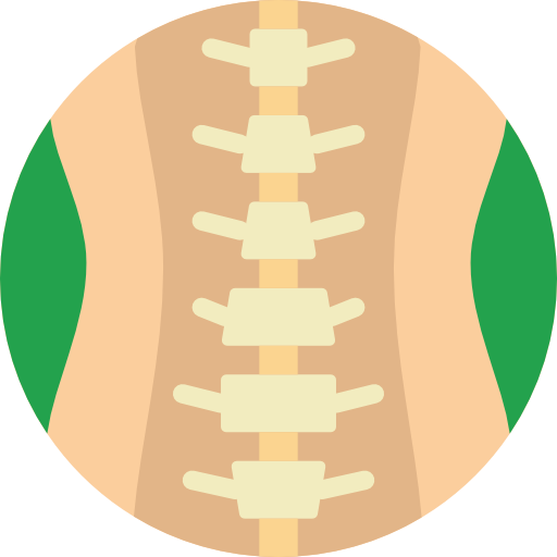 columna espinal Basic Miscellany Flat icono