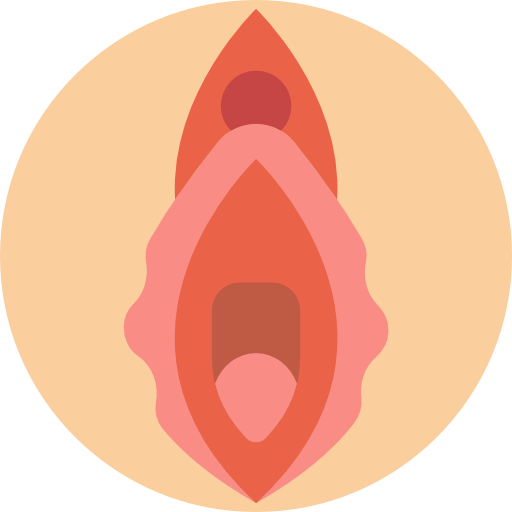 vagina Basic Miscellany Flat icona