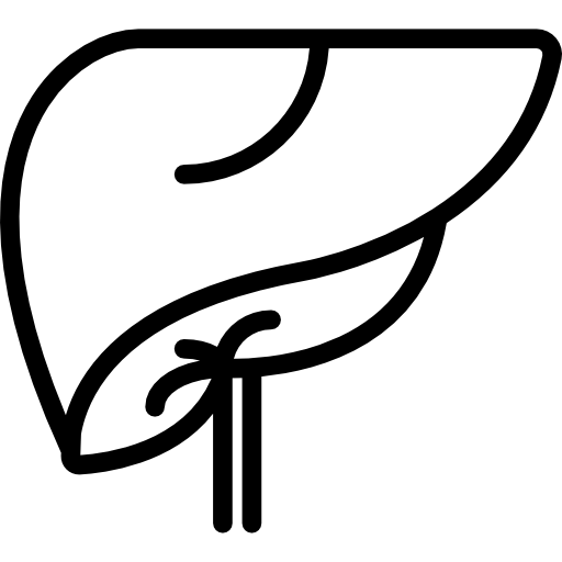 hígado Basic Miscellany Lineal icono