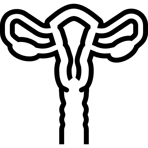 Uterus Basic Miscellany Lineal icon