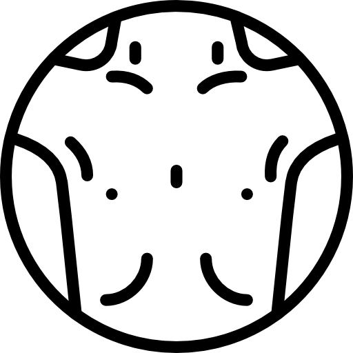 dünn Basic Miscellany Lineal icon