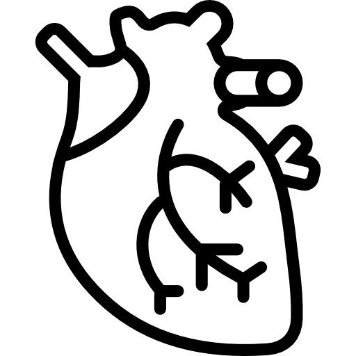 corazón Basic Miscellany Lineal icono