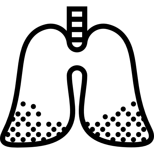 肺 Basic Miscellany Lineal icon