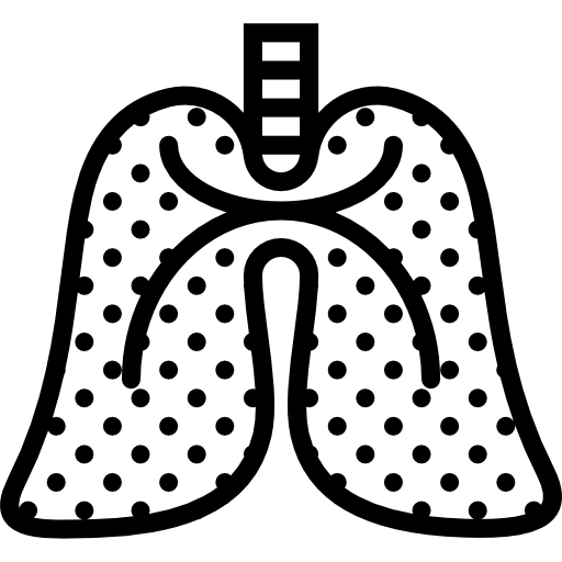 polmoni Basic Miscellany Lineal icona