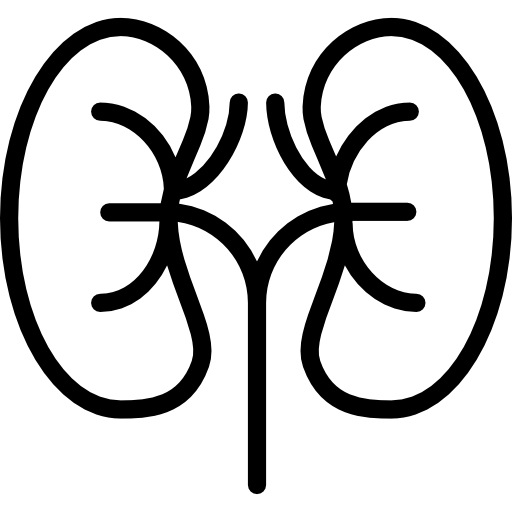 Kidney Basic Miscellany Lineal icon