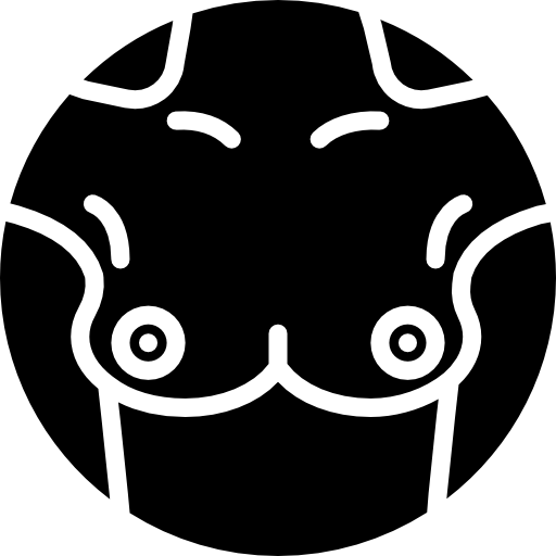 pecho Basic Miscellany Fill icono