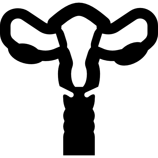 Uterus Basic Miscellany Fill icon