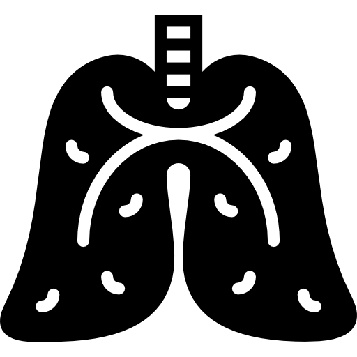 Lungs Basic Miscellany Fill icon