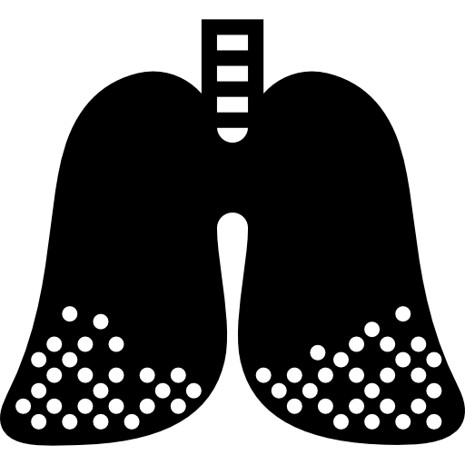 polmoni Basic Miscellany Fill icona
