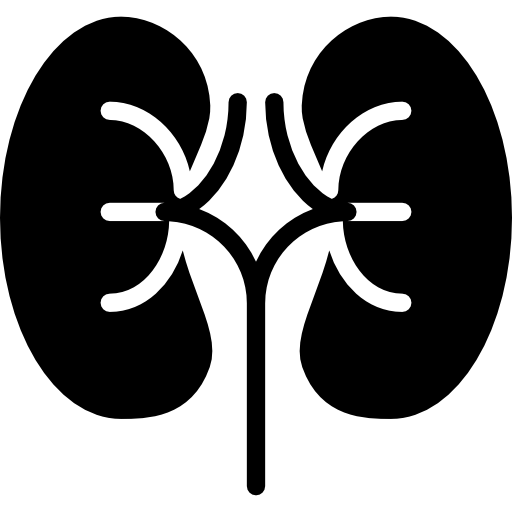 riñón Basic Miscellany Fill icono