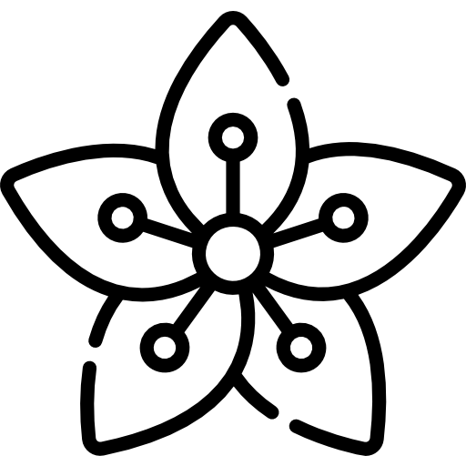 Сакура Special Lineal иконка