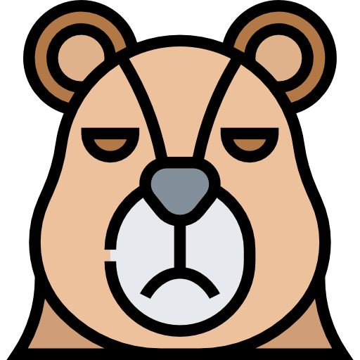 Bear Meticulous Lineal Color icon