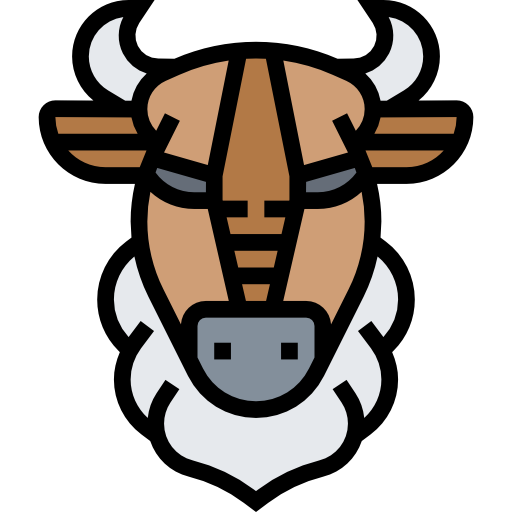 bizon Meticulous Lineal Color icoon