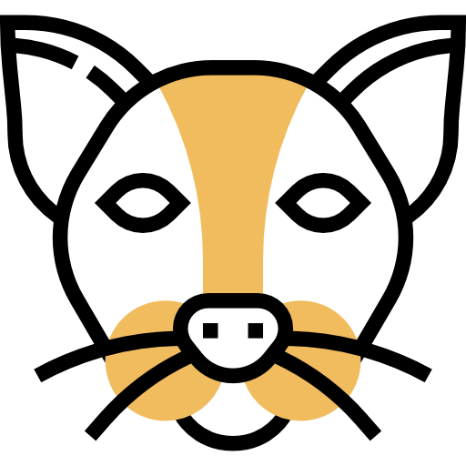gato Meticulous Yellow shadow icono