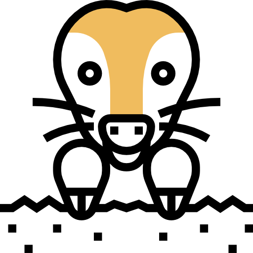maulwurf Meticulous Yellow shadow icon