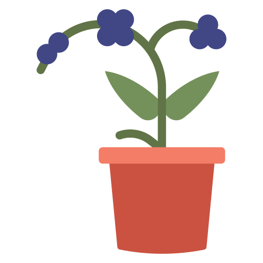蘭の花 Generic color fill icon