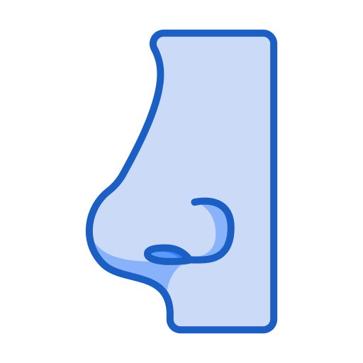 Body Generic color lineal-color icon