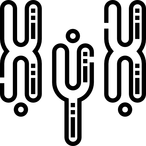 染色体 Detailed Straight Lineal icon