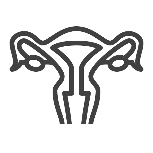 utero Generic outline icona