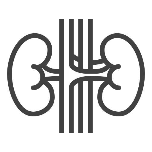 riñones Generic outline icono