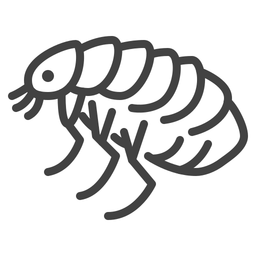 Insect Generic outline icon