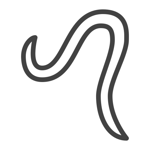 worm Generic outline icoon
