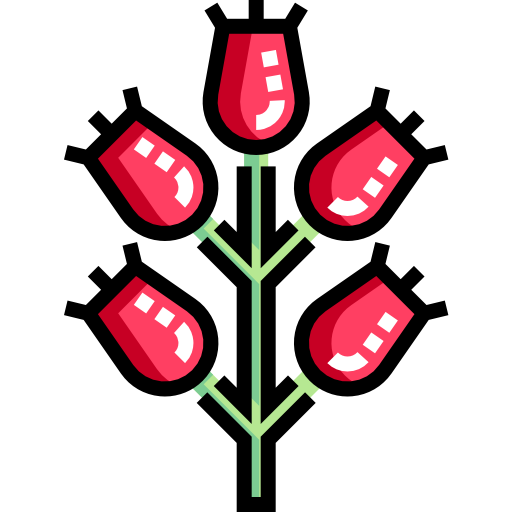 Roses Detailed Straight Lineal color icon