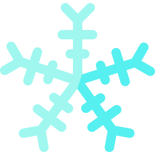 Snowflake Special Flat icon