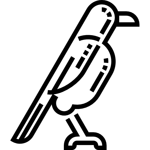 corvo Detailed Straight Lineal icona