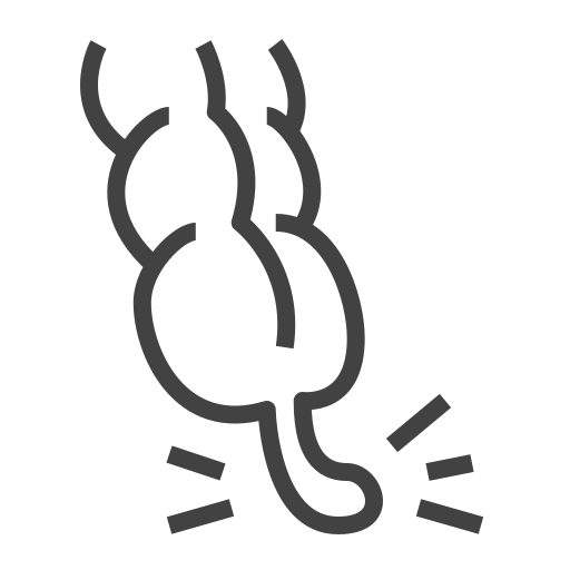 organo Generic outline icono