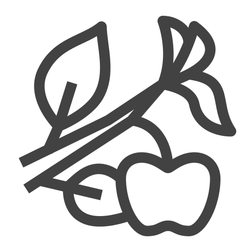 fruta Generic outline icono