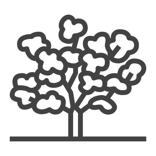 drzewo Generic outline ikona