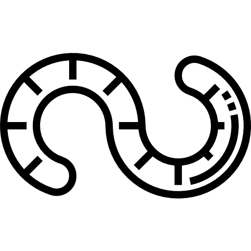 robak Detailed Straight Lineal ikona