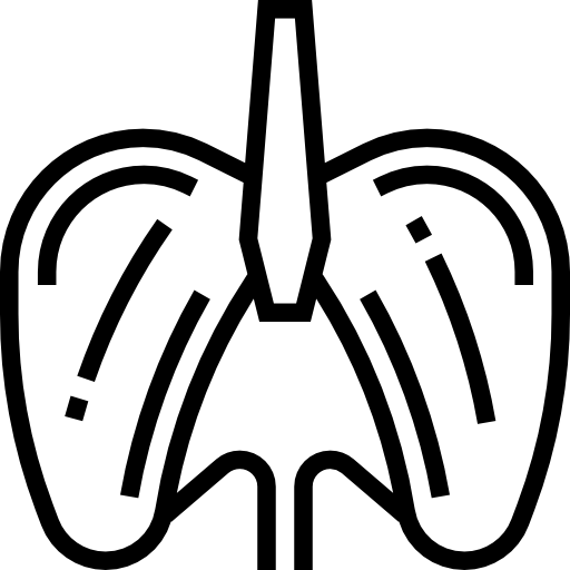 diafragma Meticulous Line icono