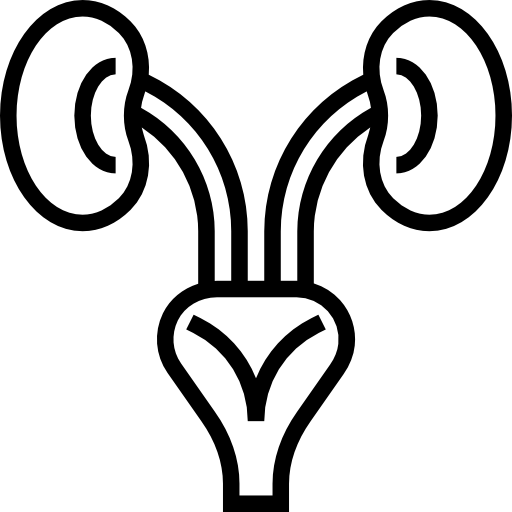 腎臓 Meticulous Line icon