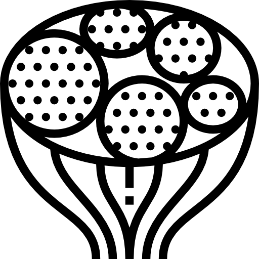筋 Meticulous Line icon