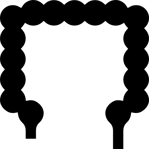 腸 Meticulous Glyph icon