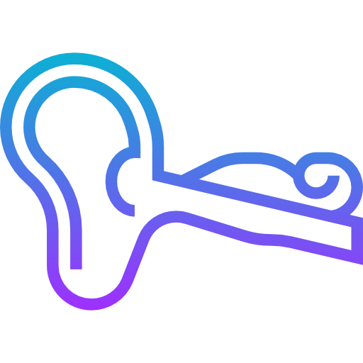 Ear Meticulous Gradient icon