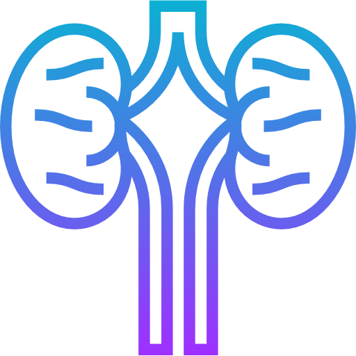 Kidneys Meticulous Gradient icon