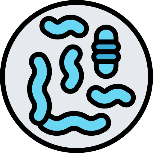 mikroorganizm Meticulous Lineal Color ikona