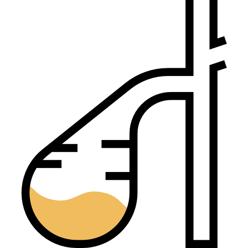 胆嚢 Meticulous Yellow shadow icon