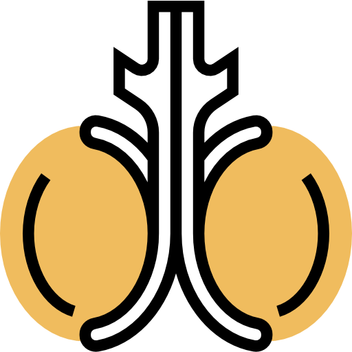 睾丸 Meticulous Yellow shadow icon