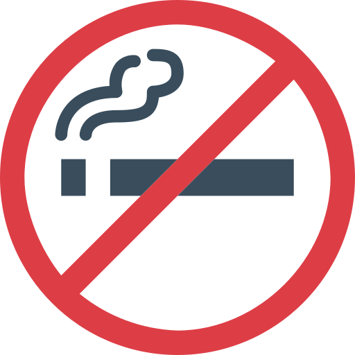 vietato fumare Smalllikeart Flat icona