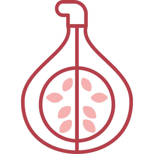 Fig Generic color outline icon