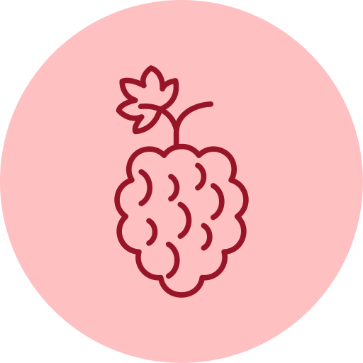 himbeeren Generic color fill icon